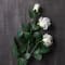 12 Pack: Ivory Sweetheart Rose Spray by Ashland®